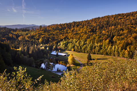 Gemeinde Frauenau Landkreis Regen Trinkwassertalsperre (Dirschl Johann) Deutschland REG